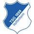Hoffenheim crest